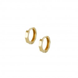 Earrings with gold rings 14k polished 
