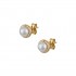 9K Gold Stud Earrings With Pearls sk127