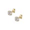 9K Gold Studded Single Stone Earrings With Zirconia sk157