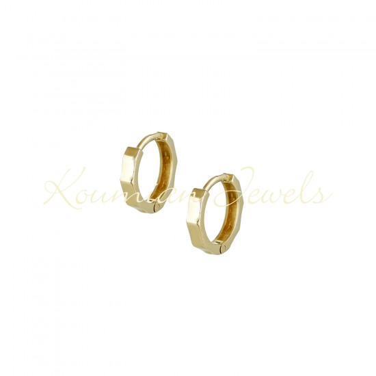 Earrings with gold rings 14k polished